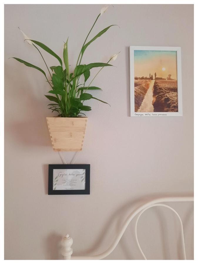 Bed and Breakfast La Casina Trecasali Екстер'єр фото