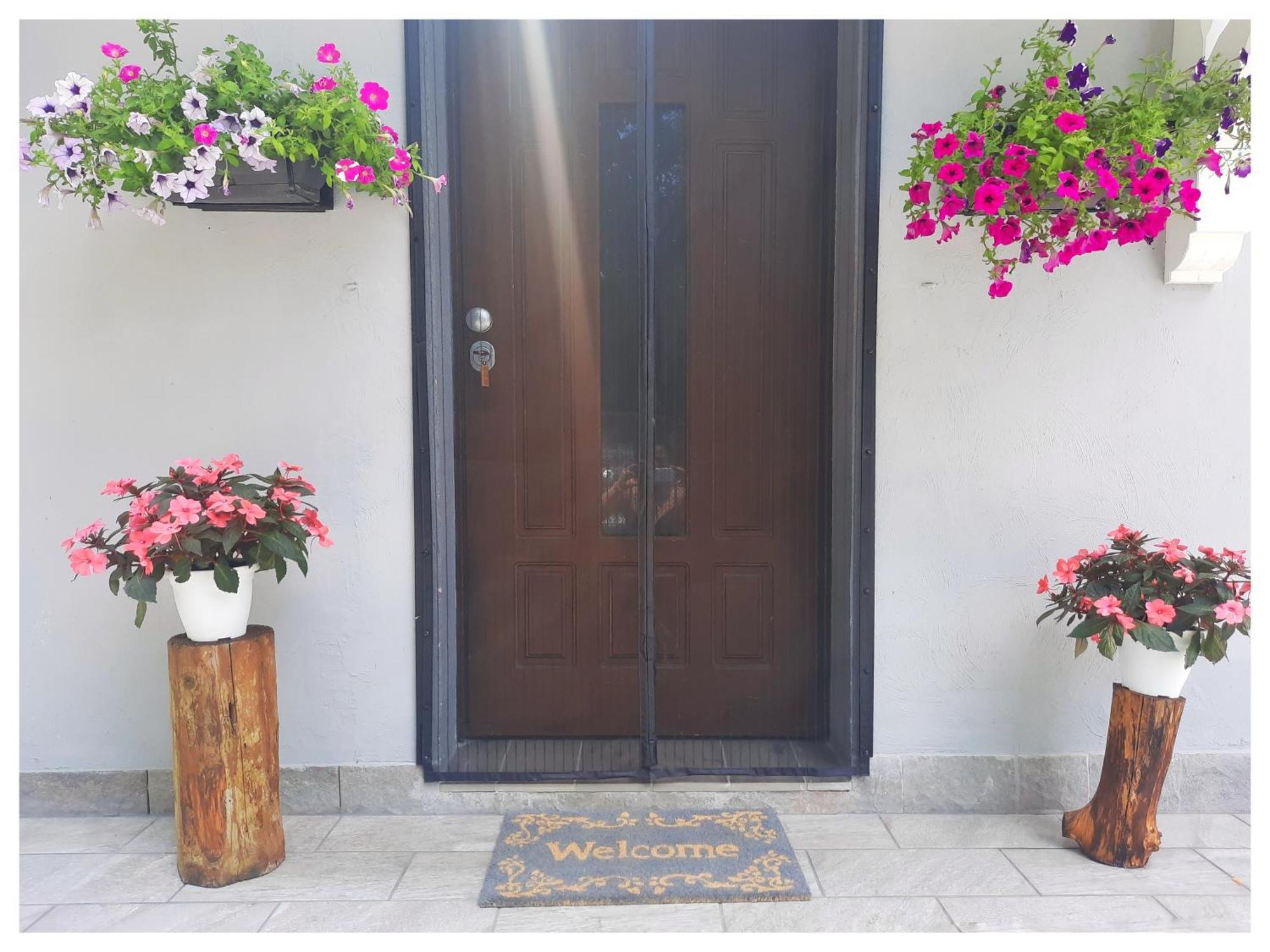 Bed and Breakfast La Casina Trecasali Екстер'єр фото